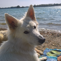 Photo de profil de juna