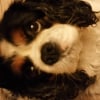 Photo de Canelle