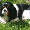 Photo de Jazz