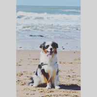 Photo de profil de Jewel