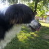 Photo de Baya