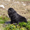Photo de Corrigan