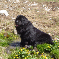 Photo de profil de Corrigan