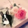 Photo de Lilou 
