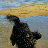 Photo de profil de HOBIWAN