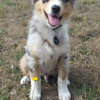 Photo de profil de mango