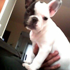 Photo de Missy