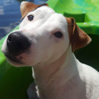 Photo de profil de KENZO