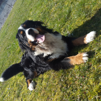 Photo de profil de Jak