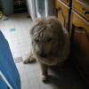 Photo de JOEN
