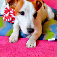 Photo de profil de Monette