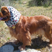 Photo de profil de jessie