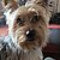 Photo de profil de GUS
