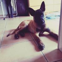 Photo de profil de Quatre
