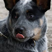 Photo de profil de Mad Max
