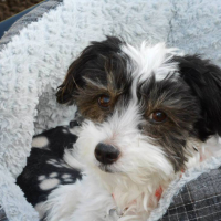 Photo de profil de kenny