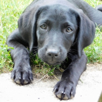 Photo de profil de Mya