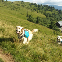 Photo de profil de Mila 