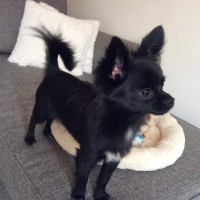 Photo de profil de Loucky