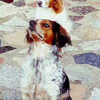 Photo de profil de Dolly et judie 