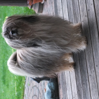 Photo de profil de Leila