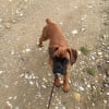 Photo de Lola