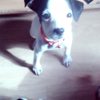 Photo de profil de Maïa