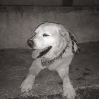 Photo de profil de apach