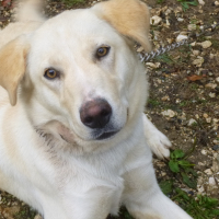 Photo de profil de Locky