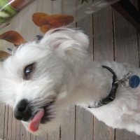 Photo de profil de EDDY