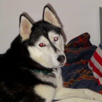 Photo de profil de Lowna