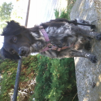 Photo de profil de Charly