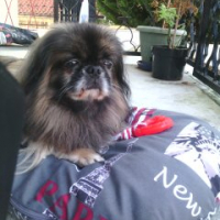 Photo de profil de Filou