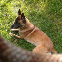 Photo de profil de C'kira