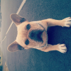 Photo de Jazzy 