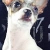 Photo de Guess