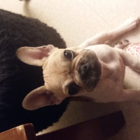 Photo de profil de Myra 