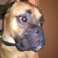 Photo de profil de Max