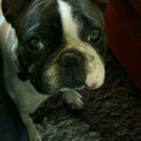 Photo de profil de Yna