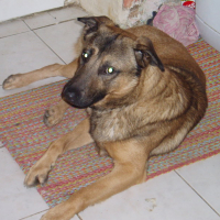 Photo de profil de tayseur