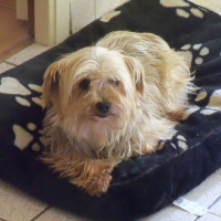 Photo de profil de Fenouille