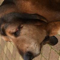 Photo de profil de Aldo
