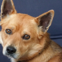 Photo de profil de Titouan