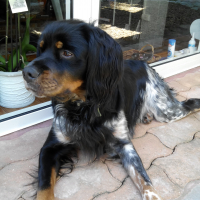 Photo de profil de isko