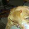 Photo de doudou