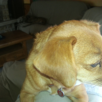 Photo de profil de doudou