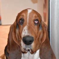 Photo de profil de Maurice