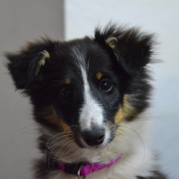 Photo de profil de molly