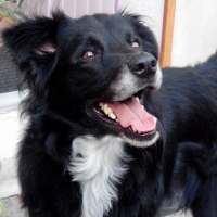 Photo de profil de APOLLO