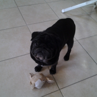 Photo de profil de Enzo